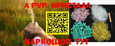 гидра Гагарин