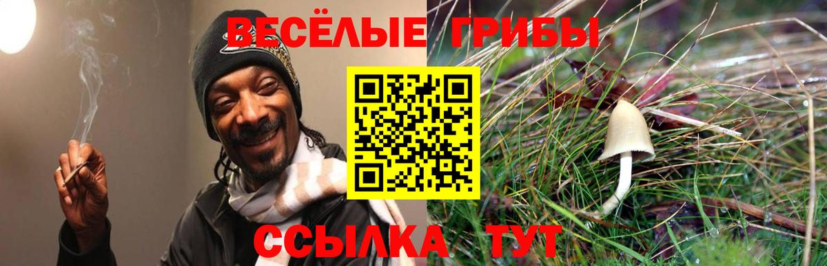 Псилоцибиновые грибы Psilocybe  Псилоцибиновые грибы мухоморы  Вход с VPN  Сургут 